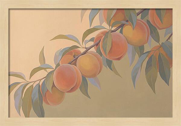 Ripe Peaches On Branch