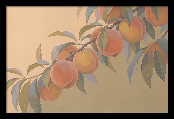 Ripe Peaches On Branch