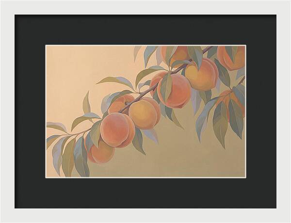 Ripe Peaches On Branch