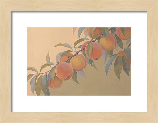 Ripe Peaches On Branch