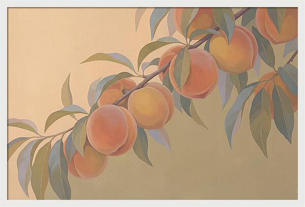 Ripe Peaches On Branch