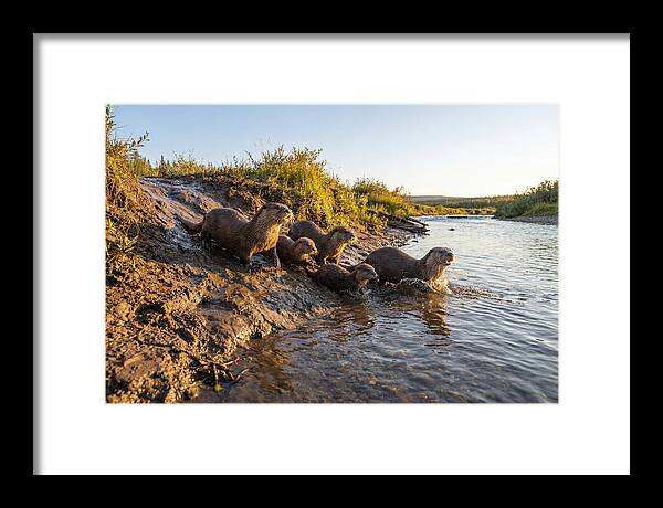 River Otter Family Adventure