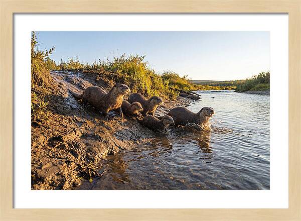 River Otter Family Adventure