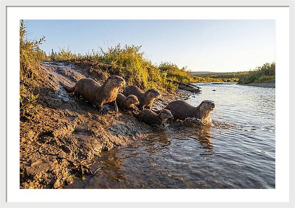 River Otter Family Adventure