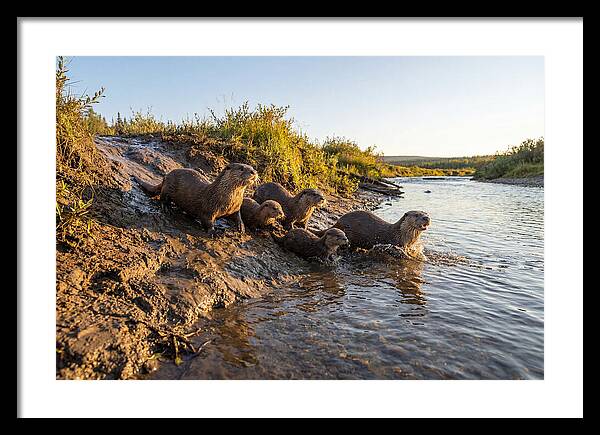 River Otter Family Adventure
