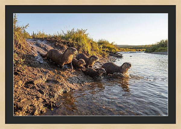 River Otter Family Adventure