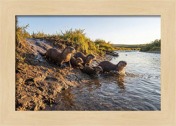 River Otter Family Adventure