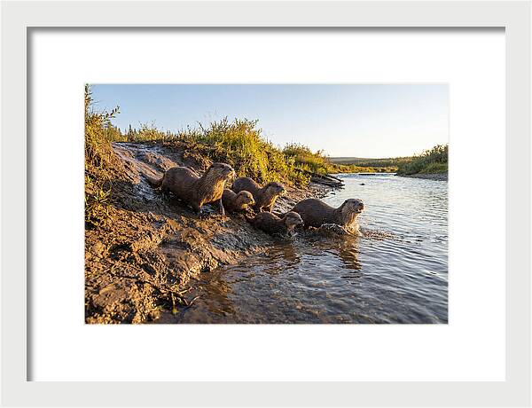 River Otter Family Adventure