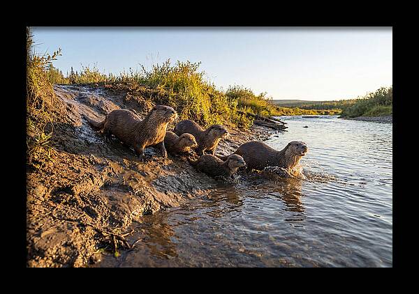 River Otter Family Adventure