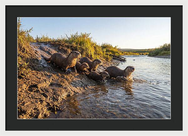 River Otter Family Adventure