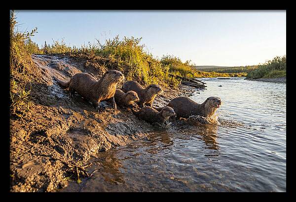 River Otter Family Adventure
