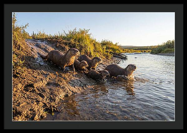 River Otter Family Adventure