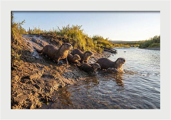 River Otter Family Adventure