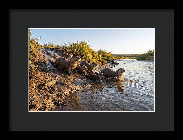 River Otter Family Adventure