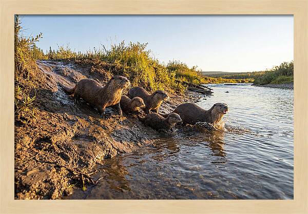 River Otter Family Adventure