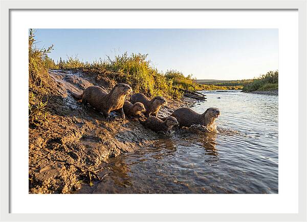 River Otter Family Adventure