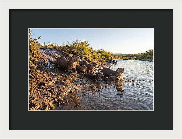 River Otter Family Adventure