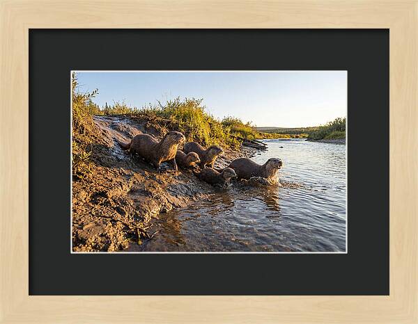 River Otter Family Adventure