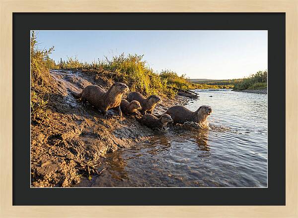 River Otter Family Adventure