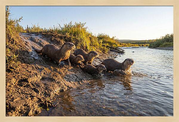 River Otter Family Adventure
