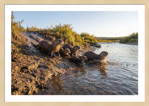 River Otter Family Adventure