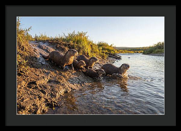 River Otter Family Adventure