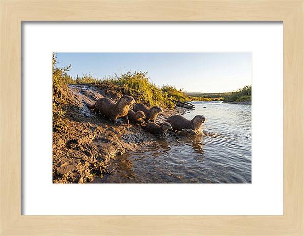 River Otter Family Adventure