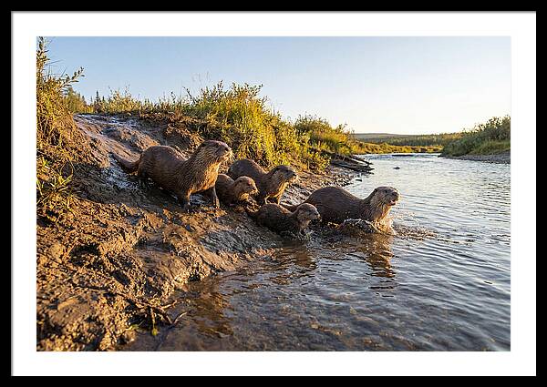 River Otter Family Adventure
