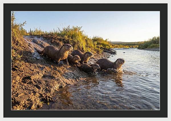 River Otter Family Adventure