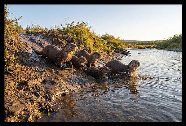 River Otter Family Adventure