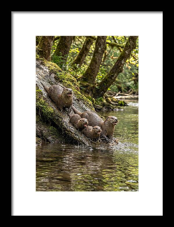 River Otter Family Sliding