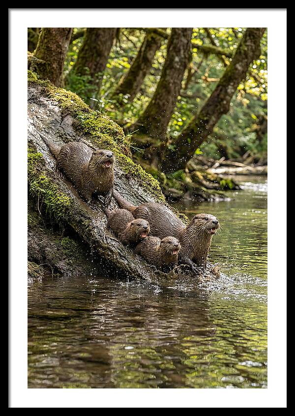 River Otter Family Sliding