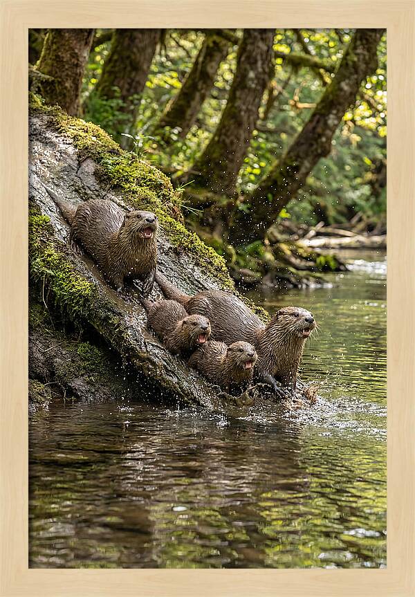 River Otter Family Sliding