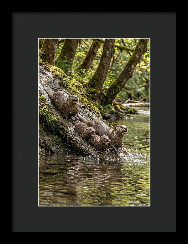 River Otter Family Sliding