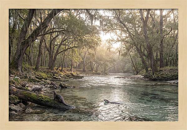 River Otters In Tranquil Waters