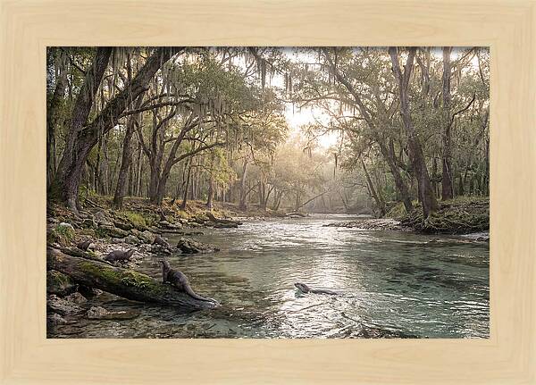 River Otters In Tranquil Waters