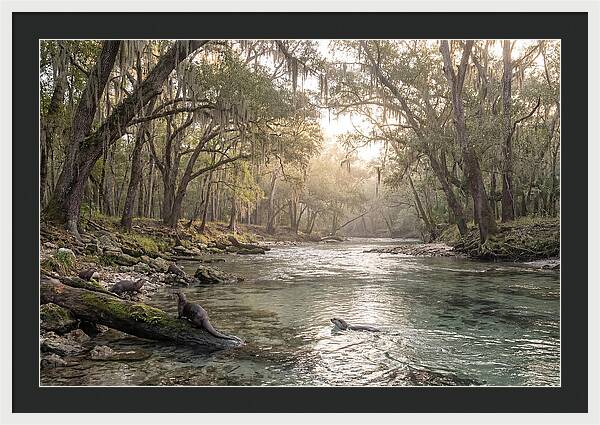 River Otters In Tranquil Waters