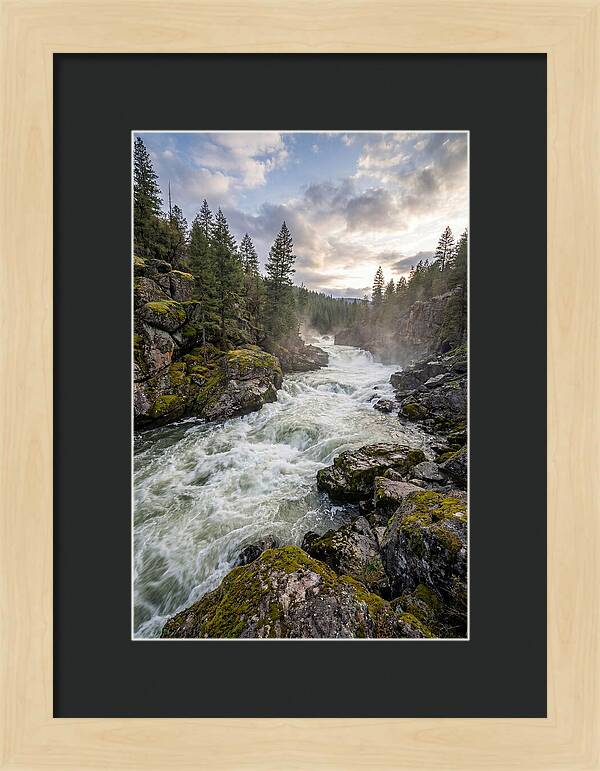 River Rapids Adventure