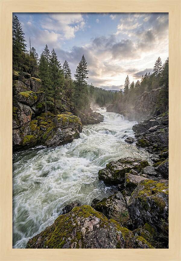 River Rapids Adventure