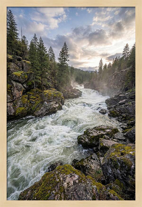 River Rapids Adventure