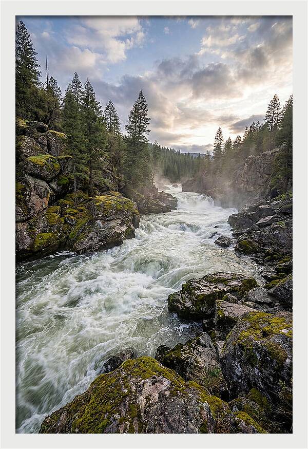 River Rapids Adventure