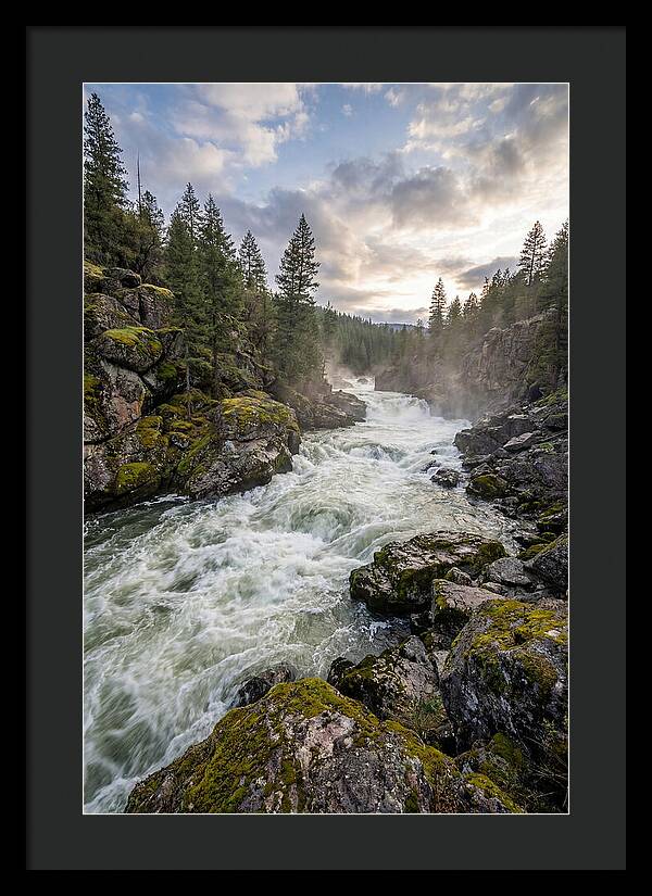River Rapids Adventure