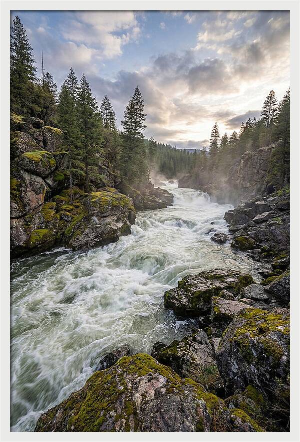 River Rapids Adventure