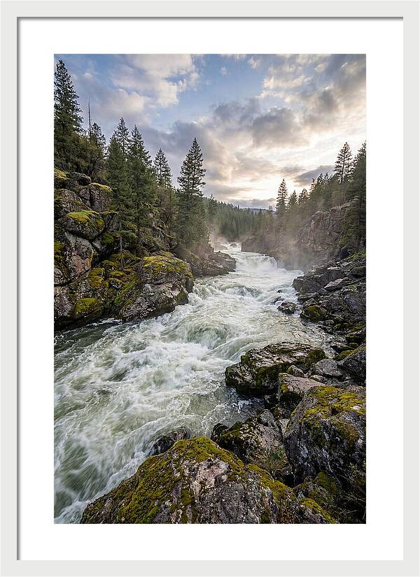 River Rapids Adventure