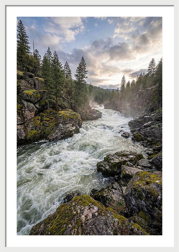 River Rapids Adventure
