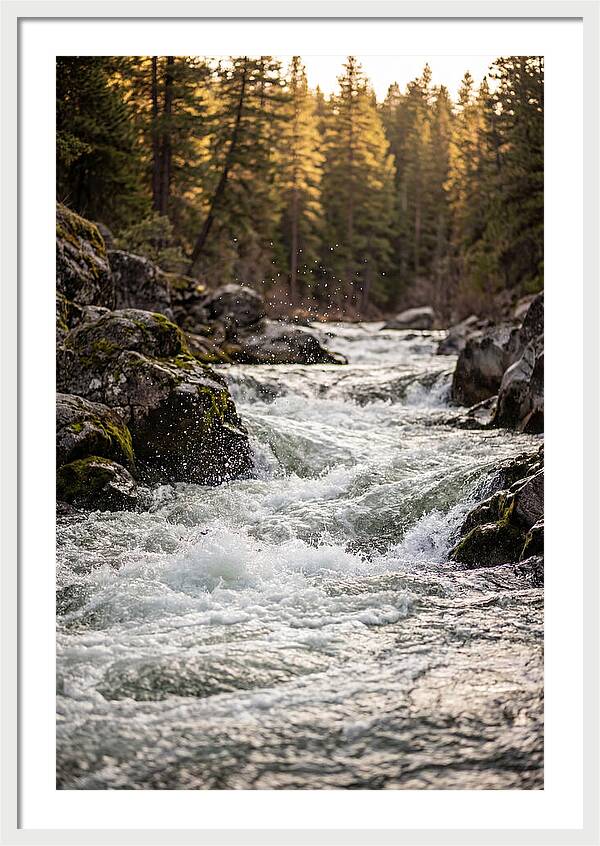 River Rapids Serenity