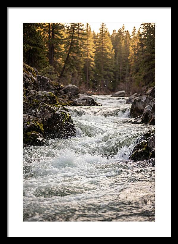 River Rapids Serenity