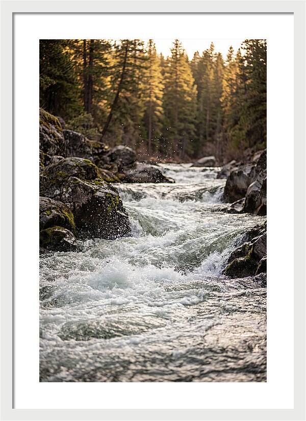 River Rapids Serenity