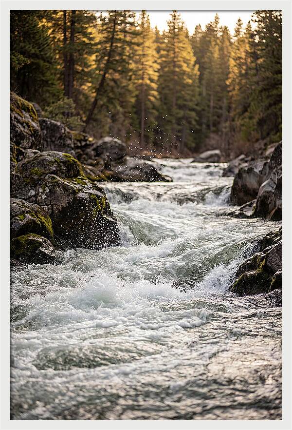 River Rapids Serenity