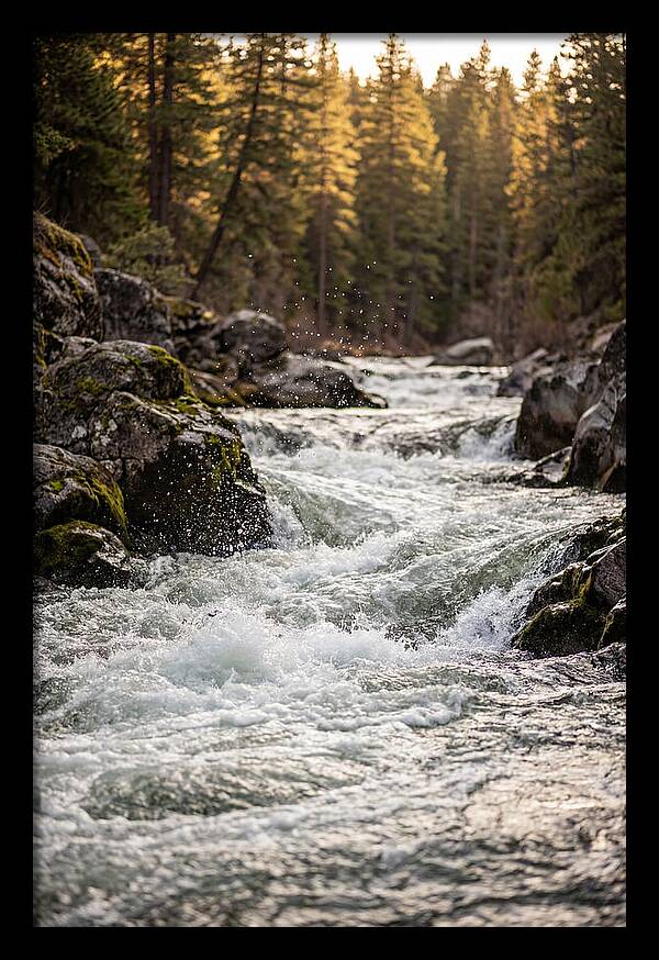 River Rapids Serenity